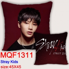 Stray Kids45X45双面方抱枕 MQF1311