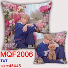 TXT 45X45抱枕MMQF2006