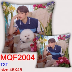 TXT 45X45抱枕MMQF2004