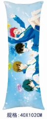 4743 Free!男子游泳部 动漫抱枕 40*102cm