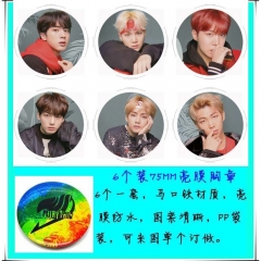 BTS 防弹少年团 D款6个装75mm亮膜徽章