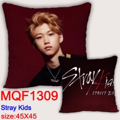 Stray Kids45X45双面方抱枕 MQF1309