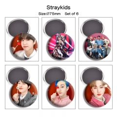 6个）straykids 动漫冰箱贴磁吸贴吧唧直径75mm